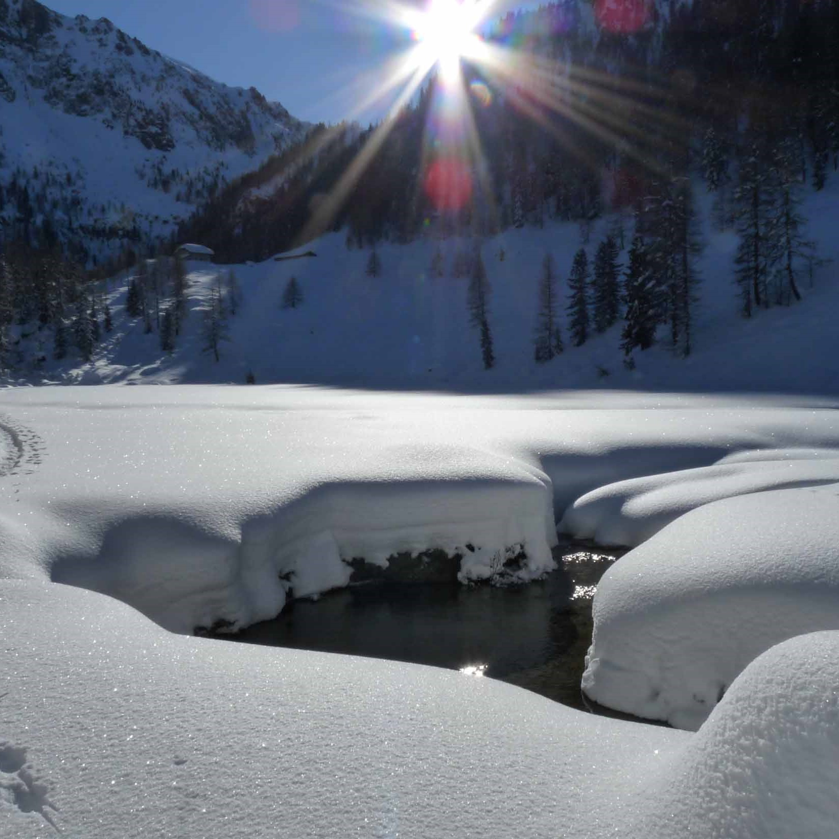 L’esperienza che cerchi per la montagna