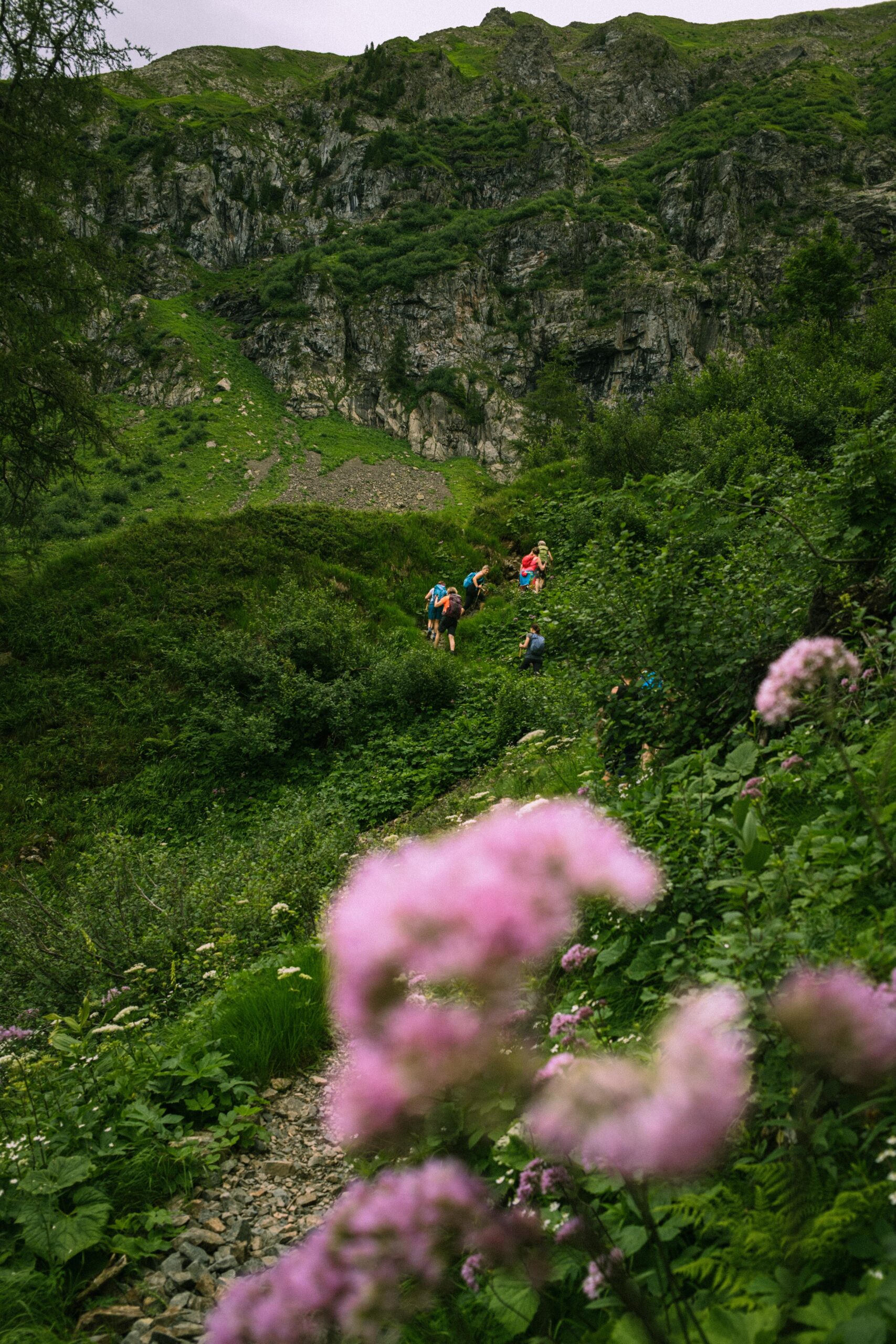 L’esperienza  che cerchi per la montagna