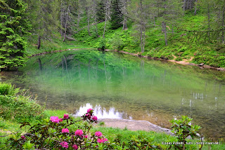 L’esperienza  che cerchi per la montagna